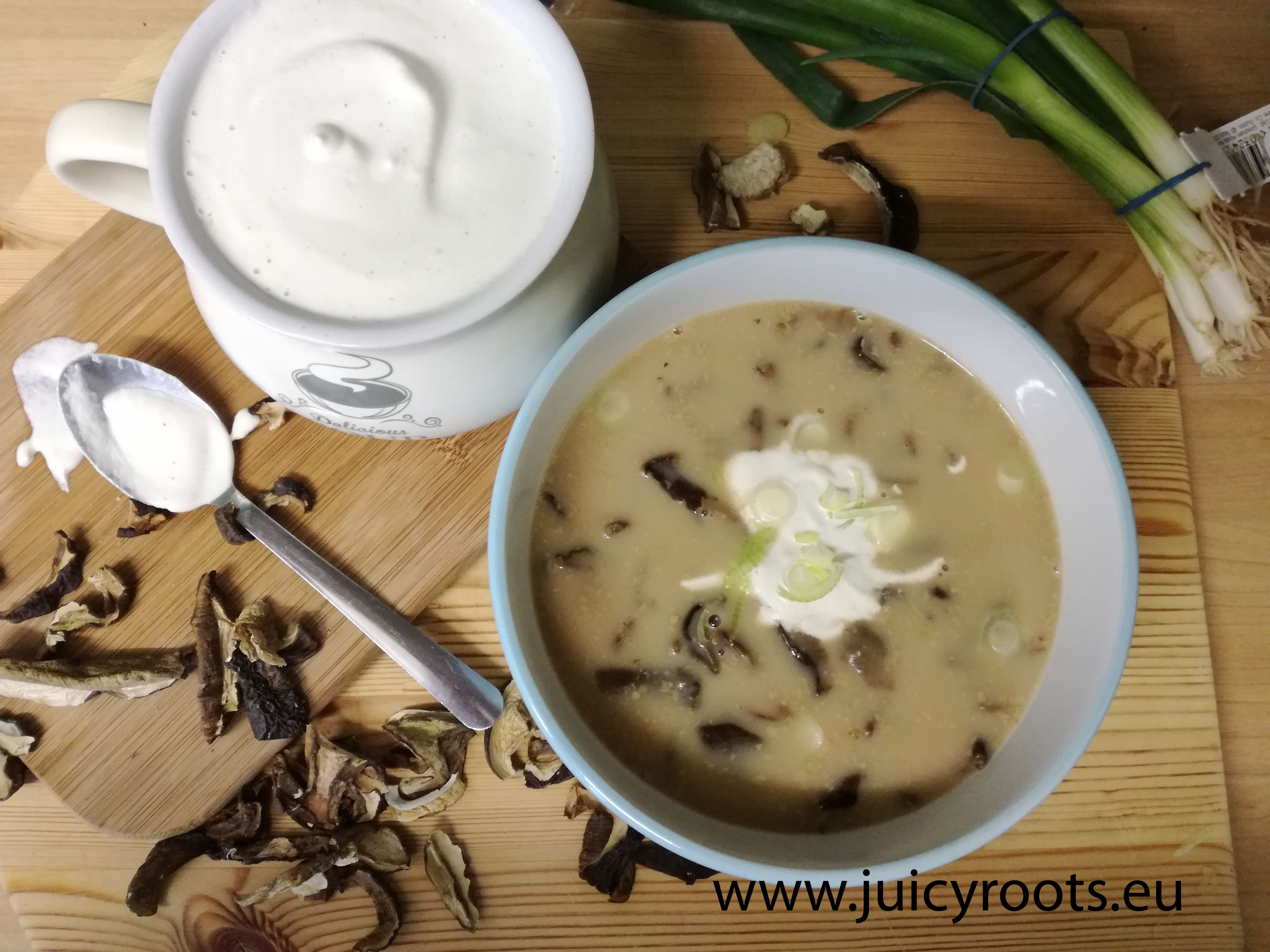 Dried forest mushrooms soup